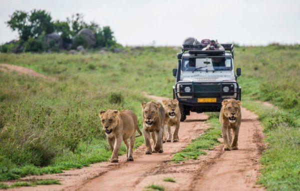 Parque Nacional da Gorongosa