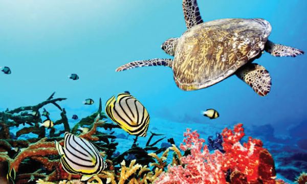 Bazaruto Archipelago National Park